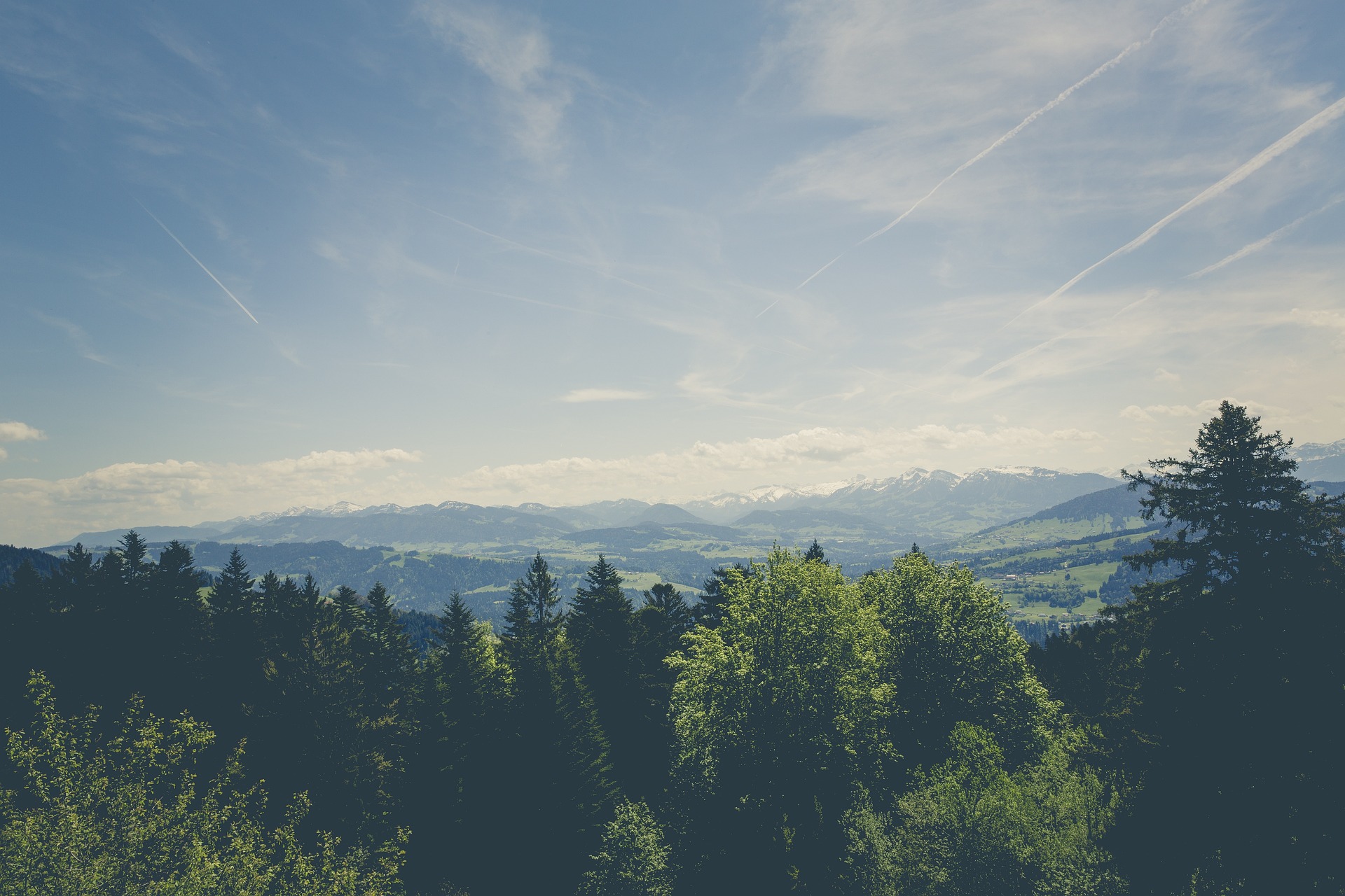 Wald